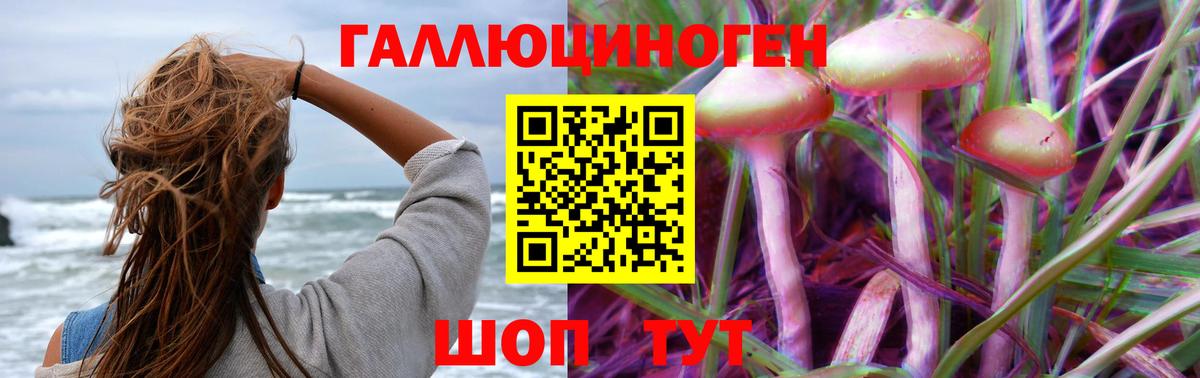 Галлюциногенные грибы GOLDEN TEACHER Волгоград